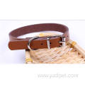 teddy poodle small wholesale pet dog collar